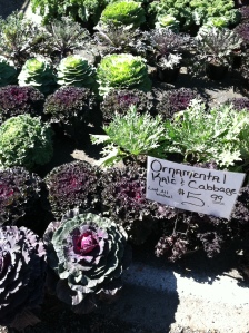 Kale and cabbages at the market